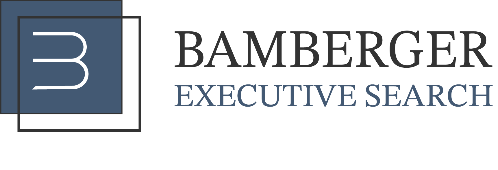 Bamberger Executive Search
